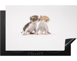 Foto: 
