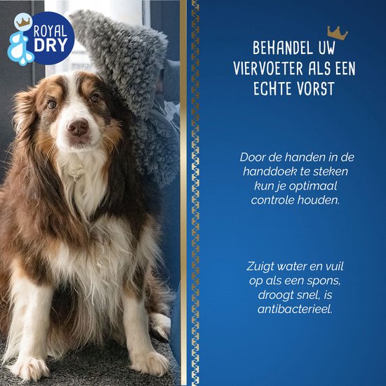 Een Australische herder likt zijn lippen met een grijze, pluizige droogdoek. Tekst: 'Behandel uw viervoeter als een echte vorst'.