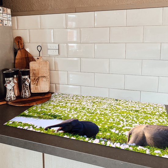 KitchenYeah® Inductie beschermer 85x52 cm - Olifant - Water - Planten - Groen - Natuur - Dieren - Kookplaataccessoires - Afdekplaat voor kookplaat - Inductiebeschermer - Inductiemat - Inductieplaat mat