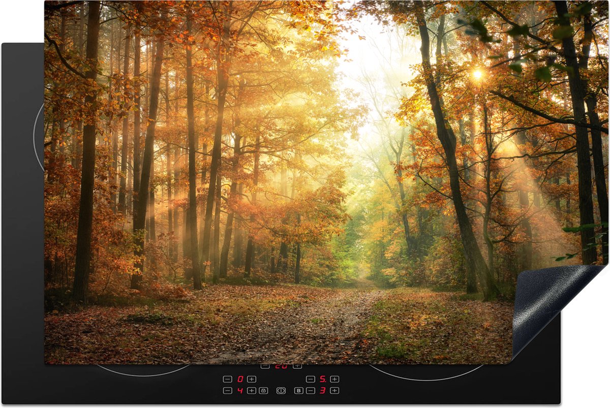 KitchenYeah® Inductie beschermer 81.6x52.7 cm - Bos - Herfst - Zon - Landschap - Natuur - Bomen - Bladeren - Kookplaataccessoires - Afdekplaat voor kookplaat - Inductiebeschermer - Inductiemat - Inductieplaat mat