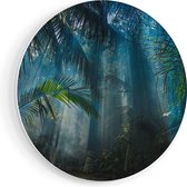 Artaza Forex Muurcirkel Dichtbegroeide Jungle Met Zonnestralen - 50x50 cm - Klein - Wandcirkel - Rond Schilderij - Muurdecoratie Cirkel