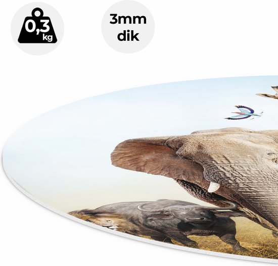 Artaza Cercle mural Forex Animaux africains sur l'herbe - Afrique - 40x40 cm - Klein - Cercle mural - Peinture ronde - Cercle de Décoration murale