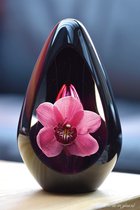Crematie-as Urn Premium Design Glas met orchidee afbeelding-Urn met afbeelding dmv.hoge kwaliteit sign folie-Urn voor crematie-as-Deelbestemming urn Mens-Urn Dierbare-Herdenken-60ml inhoud-Premium collectie-Transparant roze askamer