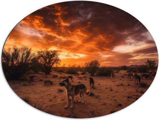 Dibond Ovaal - Dieren - Honden - Landschap - Zonsondergang - Planten - 80x60 cm Foto op Ovaal (Met Ophangsysteem)