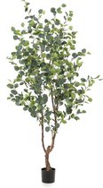 Plante Artificielle - Eucalyptus - Gommier Bleu - 180 cm