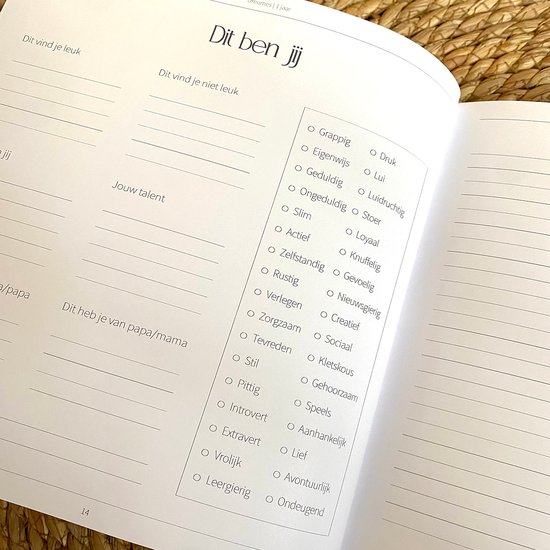 Open boek met de titel 'Dit ben jij' en kolommen voor 'Dit vind je leuk', 'Dit vind je niet leuk', 'Jouw talent' en lijsten met eigenschappen.