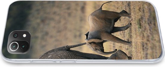 Telefoonhoesje Geschikt voor Xiaomi Mi 11 Lite hoesje - Olifant - Dieren - Savanne - Natuur - Siliconen Telefoonhoesje Telefoonhoesje