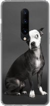 Geschikt voor OnePlus 7 Pro hoesje - Hond - Vlek - Portret - Siliconen Telefoonhoesje