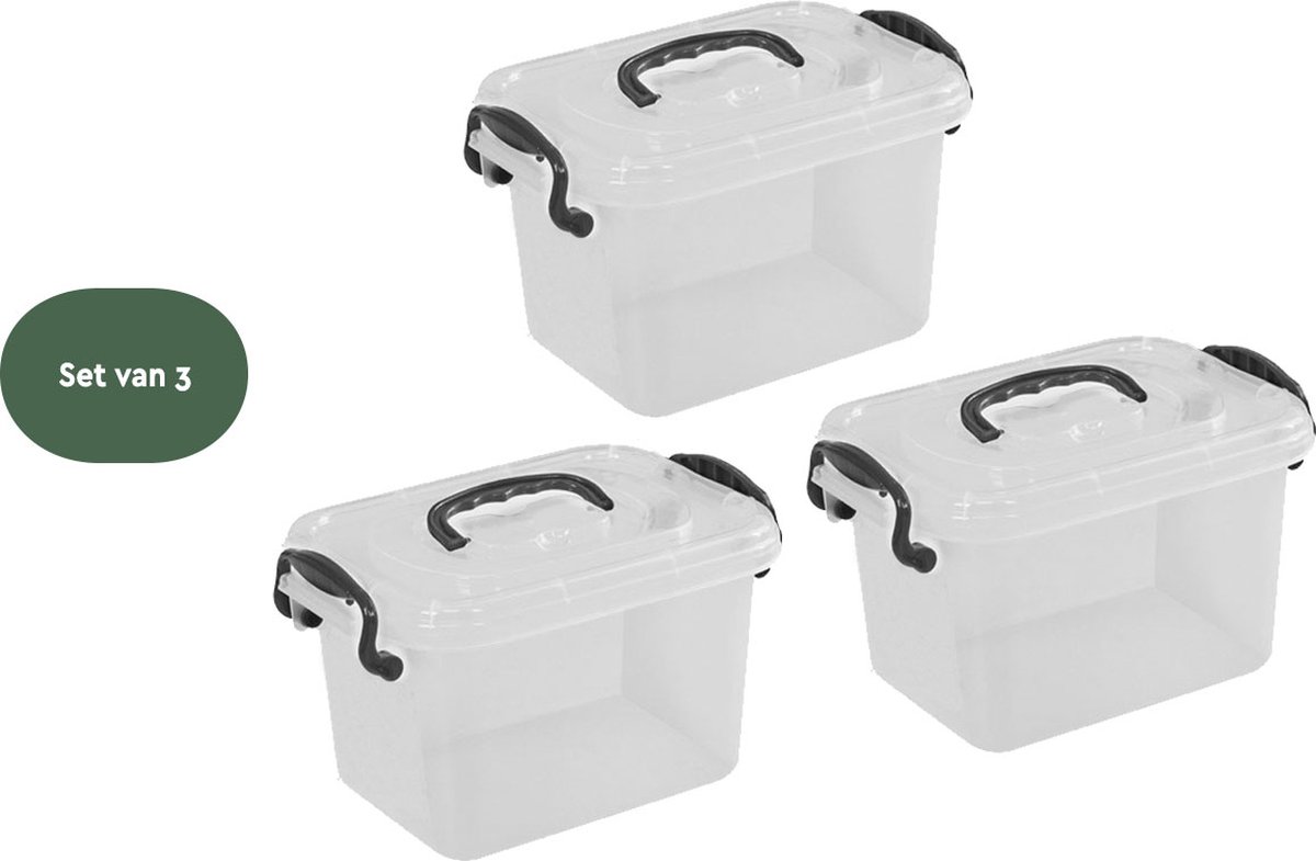 BRASQ Plastic Opbergbox 6 Liter - Set van 3 - Opbergdoos met deksel