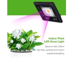 UniEgg® Groeilamp - Growlight LED 50 Watt - COB LED - Energie Klasse A+++ - zeer krachtig (Model met Stekker) - Vergelijkbaar met 300W lampen oude generatie - energiezuinige warmtelamp voor kuikens - volledige spectrum