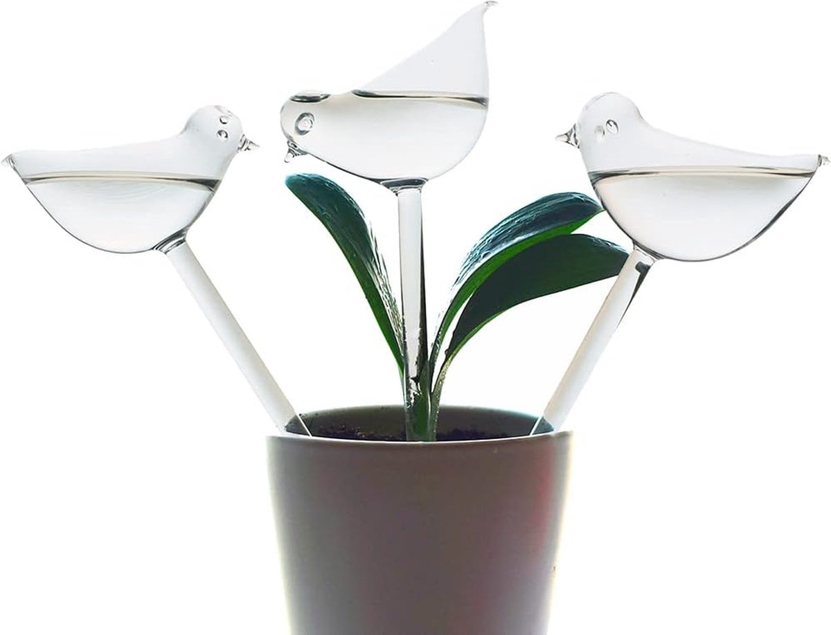 Lot De 3 Globes D'arrosage Automatique Avec Système D'irrigation Goutte à Goutte Pour Plantes En Verre Transparent Soufflé à La Main