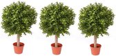 3x Buxus bol kunstplant op stam in pot 35 cm - Kunstplanten/nepplanten