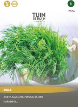 Graines de Jardin de Bruijn® - Aneth - Herbe de sorcière - Spécialement sélectionnées pour la culture en pot - environ 630 graines