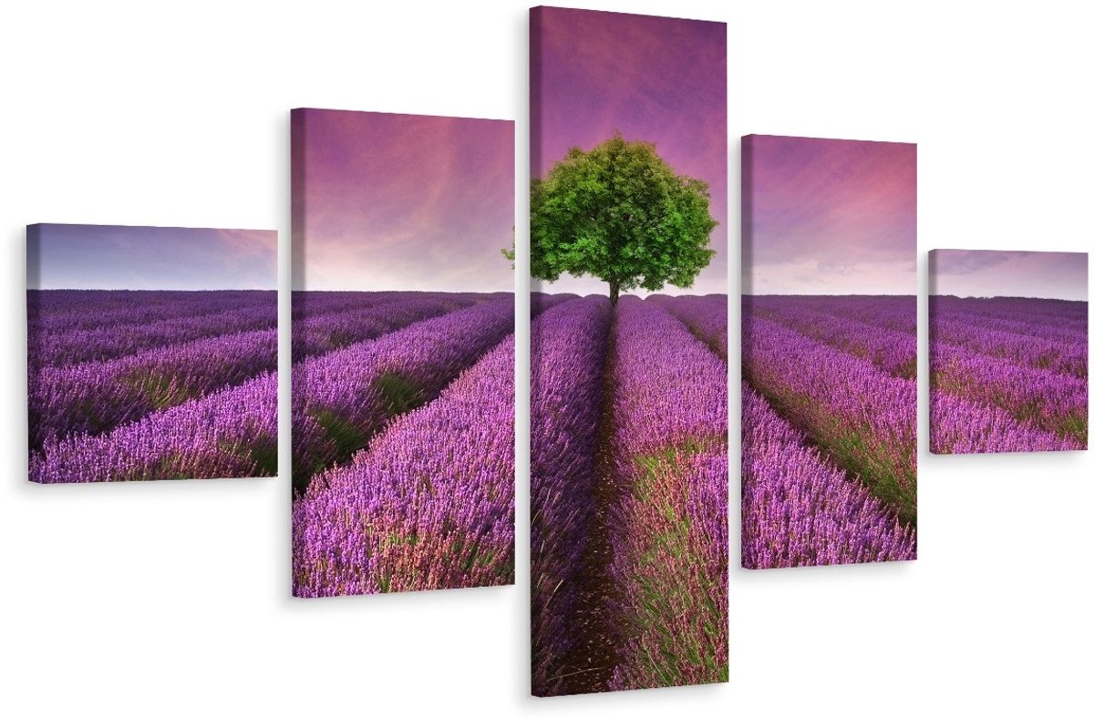 karo-art Schilderij - Boom in een lavendelveld, 5luik, premium print Multikleur