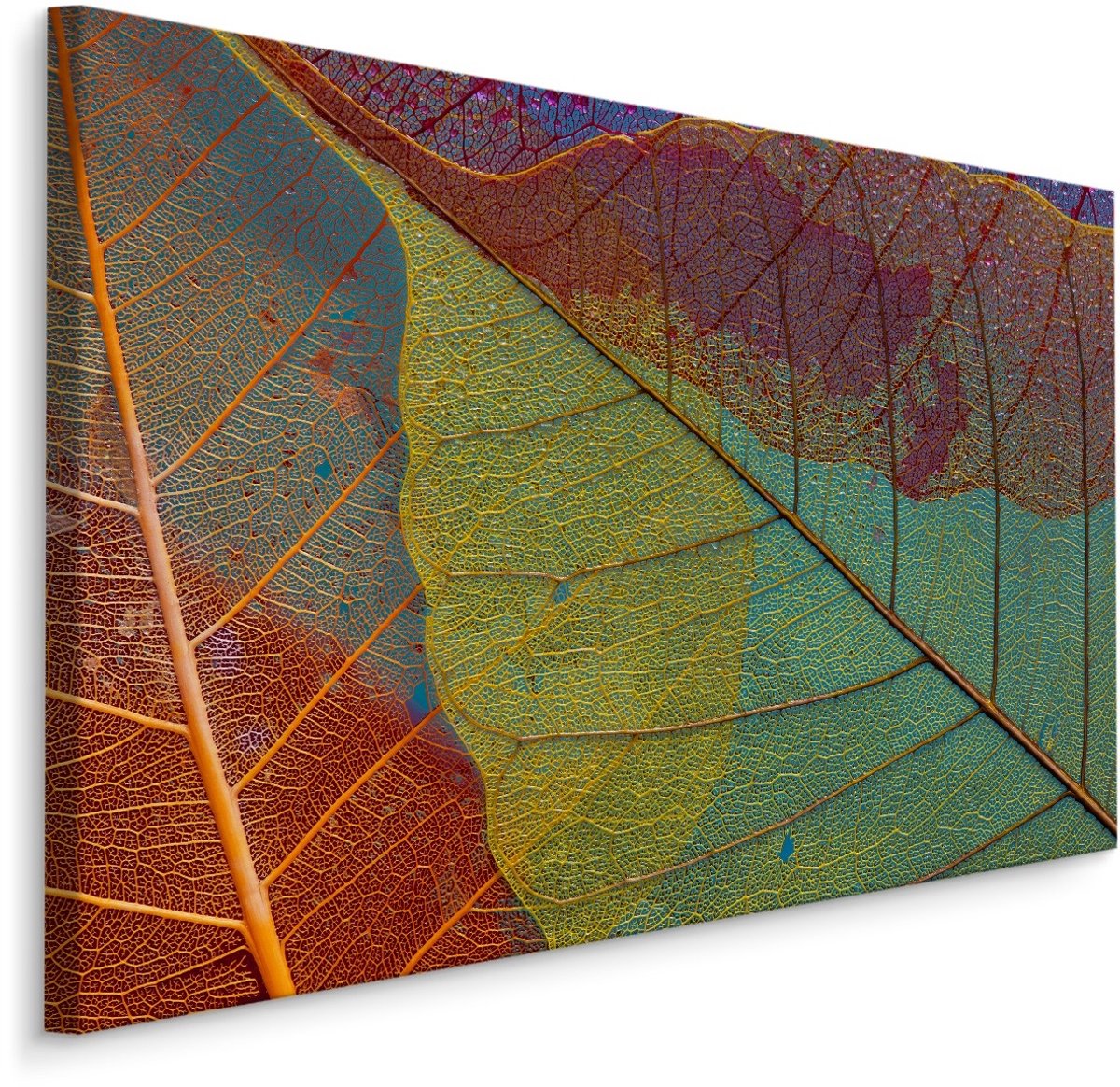 karo-art Schilderij - Kleurrijke bladeren in herfstkleuren, premium print Multikleur