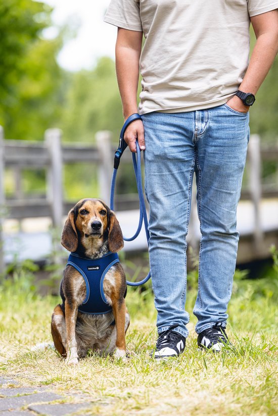 Bruine en zwarte hond met blauw tuigje zit naast een persoon op gras.