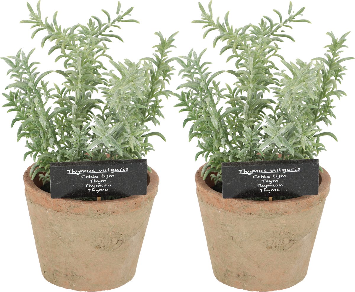 Esschert Design Kunstplant/kruiden tijm - 2x - in oude terracotta pot - 21 cm - kruiden
