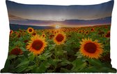 Coussins d'extérieur - Fleurs - Nuit - Coucher de soleil - Tournesol - Horizon - 60x40 cm - Résistant aux intempéries