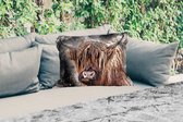 Buitenkussens - Tuin - Schotse hooglander - Verf - Koe - 50x30 cm