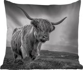 Buitenkussen Weerbestendig - Koeien - Schotse hooglander - Natuur - Dieren - Zwart wit - 50x50 cm