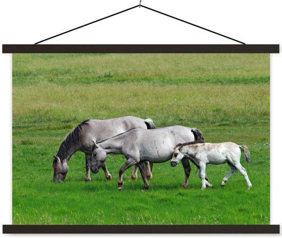 Affiche textielposter Konik Chevaux 150x100 cm