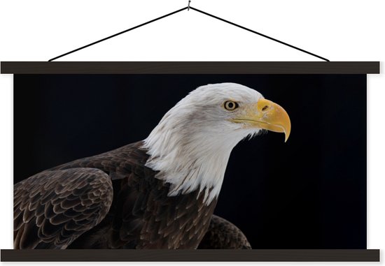 Affiche scolaire - Aigle - Vogel - Bec - Zwart - 90x45 cm - Lattes noires