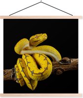 Python arbre jaune devant un fond noir affiche textielposter lattes vierge 60x60 cm