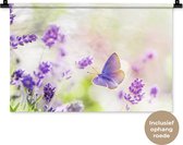 Wandkleed - Wanddoek - Lavendel - Vlinder - Bloemen - 60x40 cm - Wandtapijt
