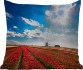Buitenkussen - Indrukwekkend tulpenveld in Nederland - 45x45 cm - Weerbestendig