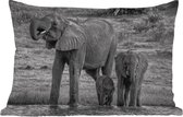 Buitenkussens - Tuin - Familie olifanten aan het water in zwart-wit - 60x40 cm