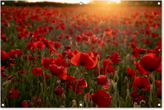 Tuinposter - Tuindoek - Tuinposters buiten - Bloemen - Klaproos - Rood - 120x80 cm - Tuin