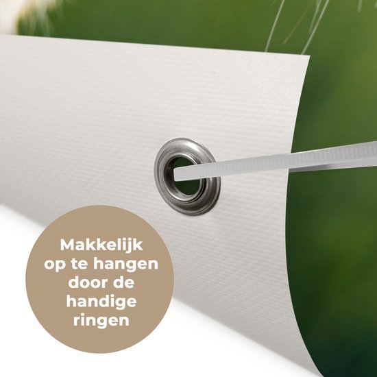 Poster Jardin jeune lionne 40x60 cm - petit - Toile de jardin / Toile d'extérieur / Peintures d'extérieur (décoration de jardin)