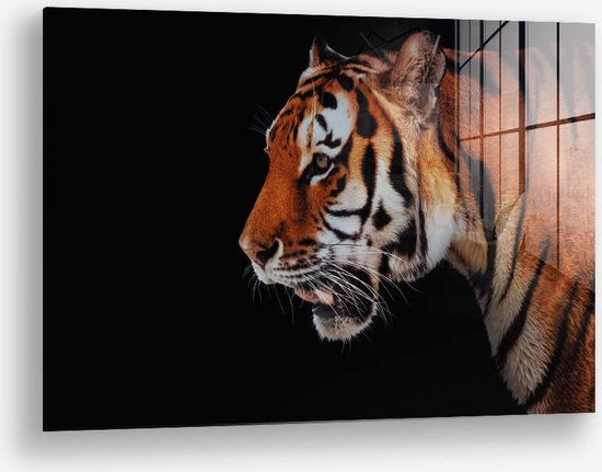Wallfield™ - Horizontal Tiger | Glasschilderij | Gehard glas | 80 x 120 cm | Magnetisch Ophangsysteem