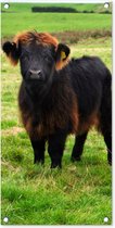 Tuinposter Schotse hooglander - Gras - Koeien - 40x80 cm - Wanddecoratie Buiten - Tuinposter - Tuindoek - Schuttingposter - Tuinschilderij
