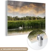 MuchoWow® Glasschilderij 180x120 cm - Schilderij acrylglas - Zwanen - Kuikens - Wolken - Foto op glas - Schilderijen