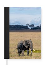 Carnet - Cahier d'écriture - Bébé éléphant boueux dans le Serengeti - Carnet - Format A5 - Bloc-notes