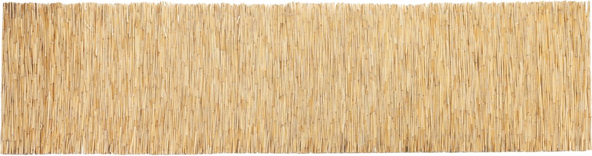 Rietmat Abbateggio 100x600 cm naturel casa.pro