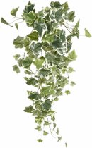 Emerald kunstplant/hangplant - Klimop/hedera - groen/wit - 70 cm lang - Levensechte kunstplanten