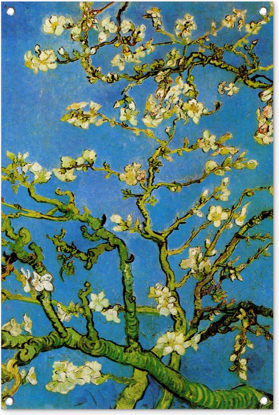 Tuinposters buiten Amandelbloesem - Vincent van Gogh - 60x90 cm - Tuindoek - Buitenposter