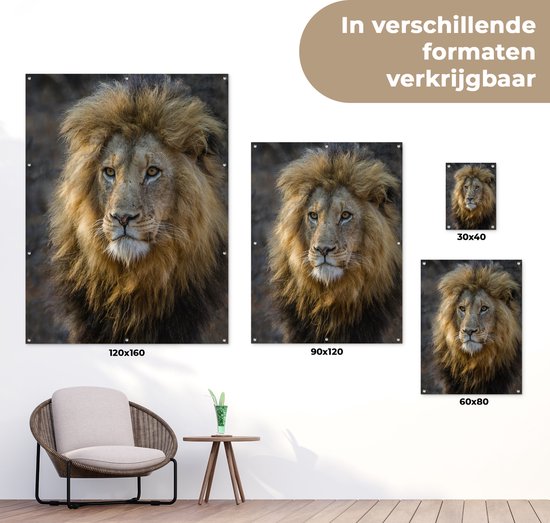 Poster Jardin Roi Lion 40x60 cm - petit - Toile de jardin / Toile d'extérieur / Peintures d'extérieur (décoration de jardin)