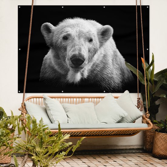 Décoration murale Ours polaire - Animal - Zwart - Wit - 180x120 cm - Poster jardin - Toile jardin
