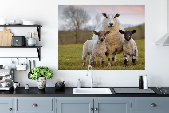 Stickers muraux - Film autocollant - Mouton - Nature - Zwart - Wit - 120x90 cm - Film adhésif - Stickers muraux Chambre d'enfant - Papier peint autocollant - Papier peint autocollant - Film autocollant