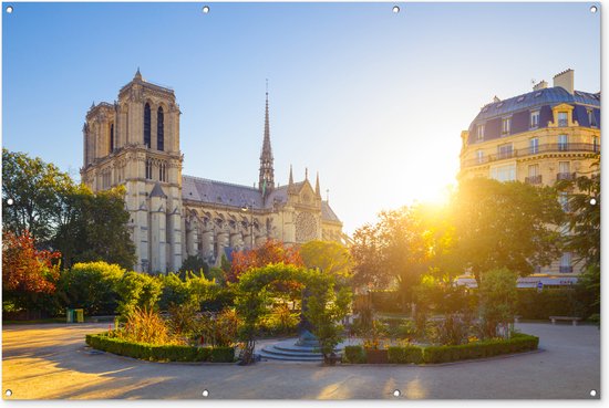 Parijs - Notre Dame - Zon - Tuinposter