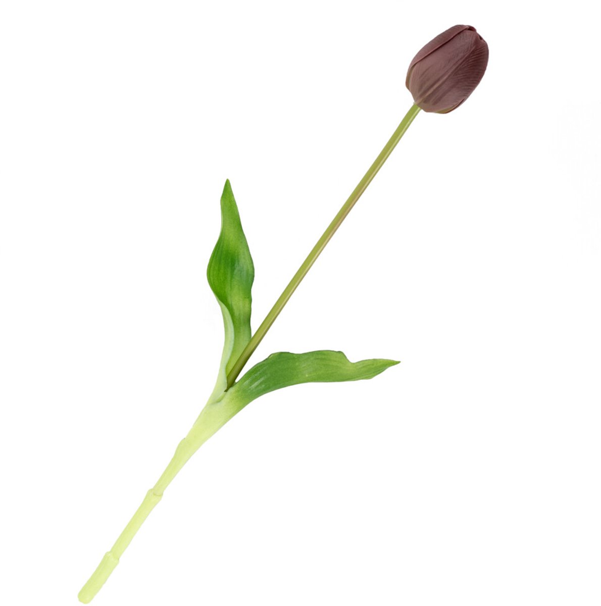 HomeBound by KY | Kunsttulp real touch aubergine | kunsttulp