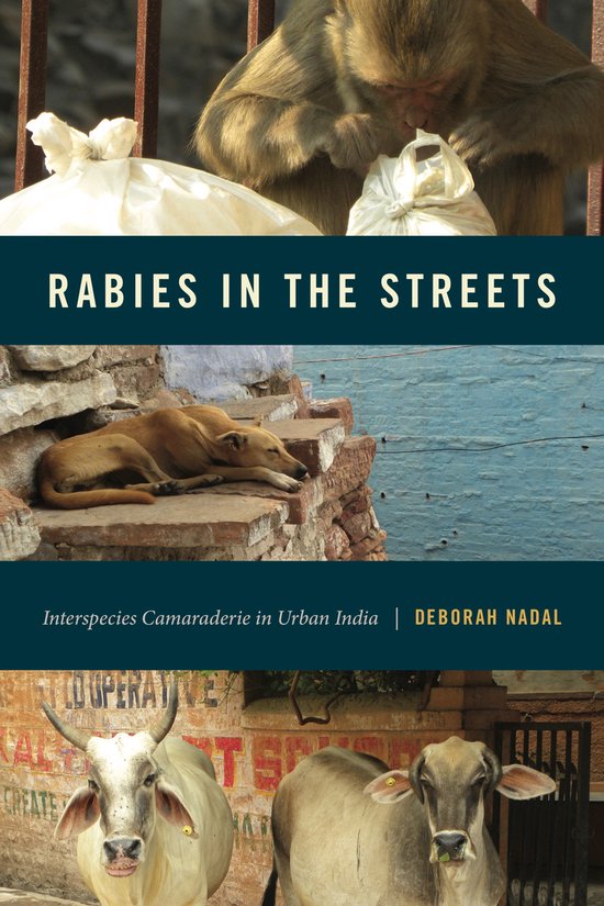 Animalibus- Rabies in the Streets - cover