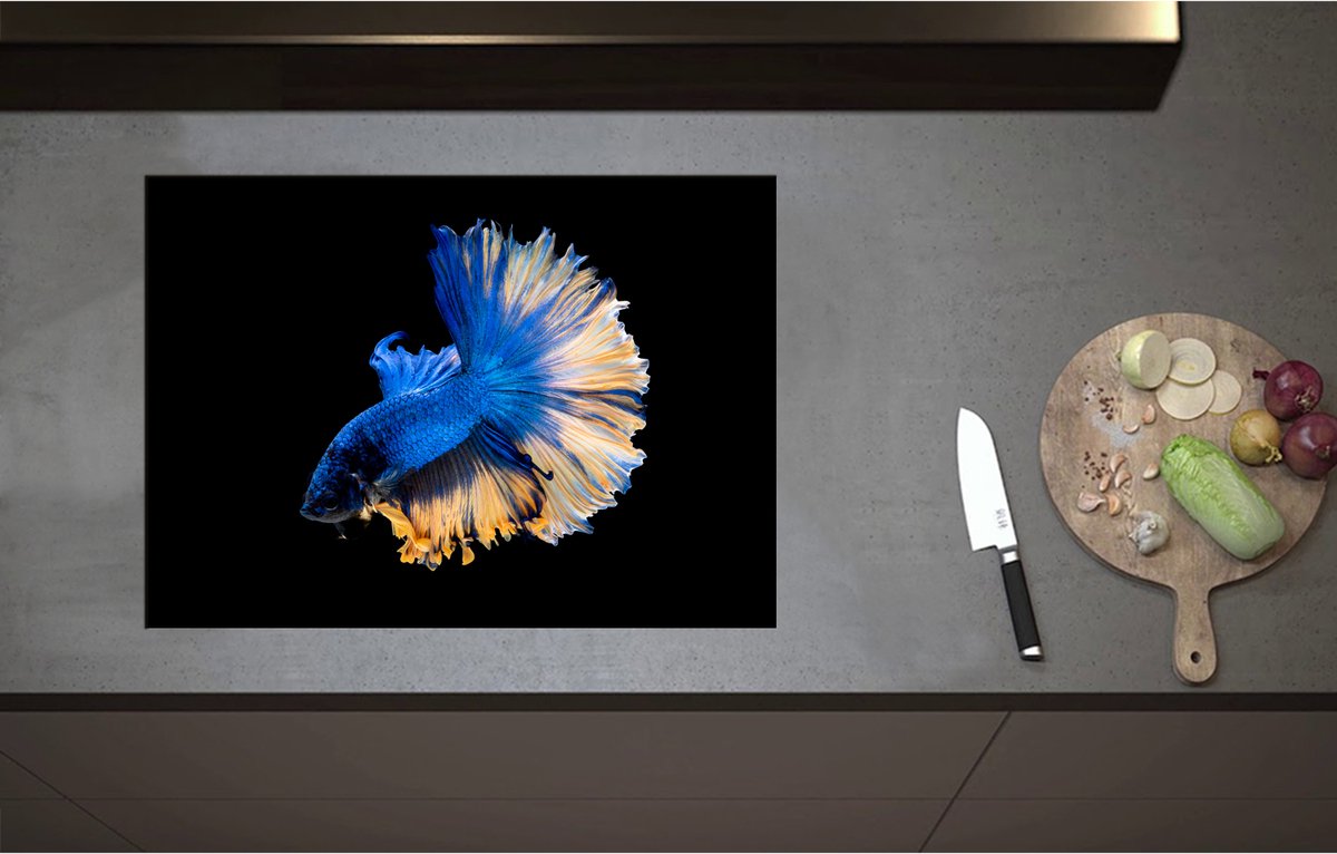 Inductieplaat Beschermer - Blauwe Siamese Kempvis van de Zijkant tegen Zwarte Achtergrond - 71x51 cm - 2 mm Dik - Inductie Beschermer - Bescherming Inductiekookplaat - Kookplaat Beschermer van Wit Vinyl