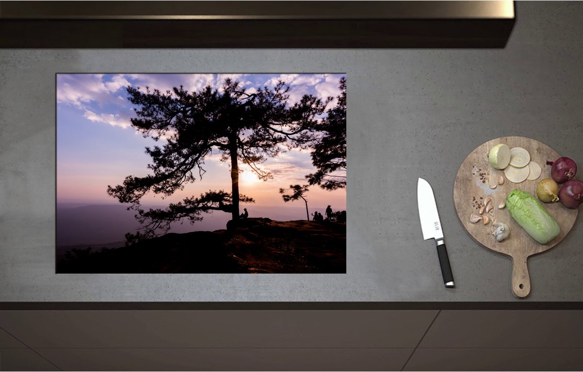 Inductieplaat Beschermer - Boom met Paarse Zonsondergang - 75x52 cm - 2 mm Dik - Inductie Beschermer - Bescherming Inductiekookplaat - Kookplaat Beschermer van Zwart Vinyl