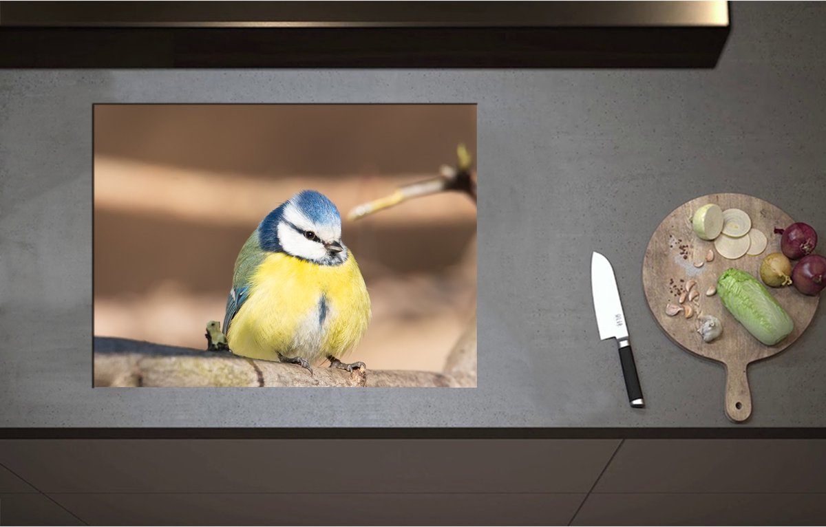 Inductieplaat Beschermer - Bol Pimpelmeesje Zittend op Tak - 70x52 cm - 2 mm Dik - Inductie Beschermer - Bescherming Inductiekookplaat - Kookplaat Beschermer van Wit Vinyl