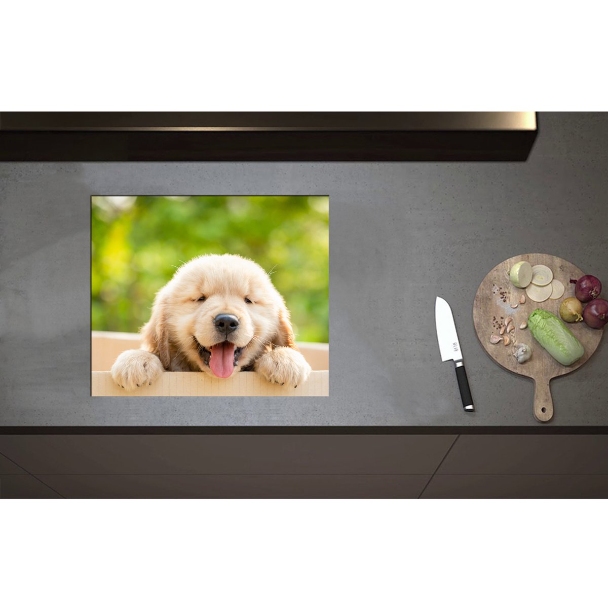 Inductieplaat Beschermer - Blije Golden Retriever Puppy in Kartonnen Doos - 59x50 cm - 2 mm Dik - Inductie Beschermer - Bescherming Inductiekookplaat - Kookplaat Beschermer van Zwart Vinyl