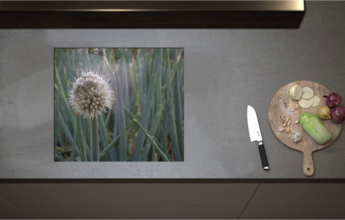 Inductieplaat Beschermer - Bloem van Grove Bieslook bij Groene Lange Stengels - 57x50 cm - 2 mm Dik - Inductie Beschermer - Bescherming Inductiekookplaat - Kookplaat Beschermer van Zwart Vinyl